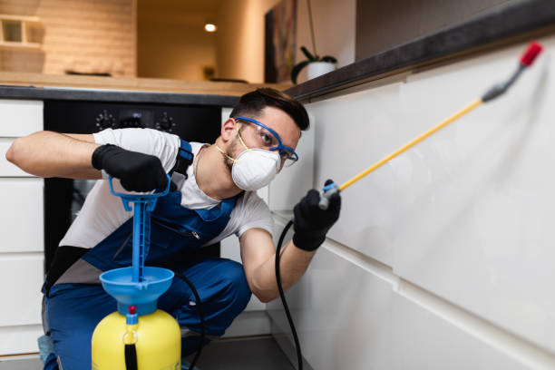 Best Local Pest Control Services  in St Augustine South, FL