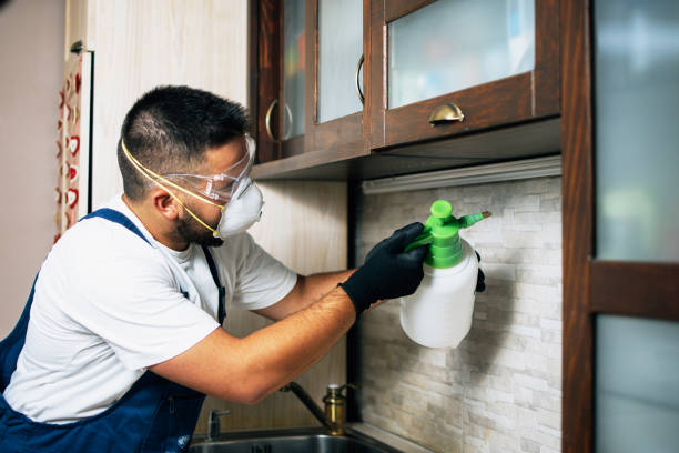  St Augustine South, FL Pest Control Pros