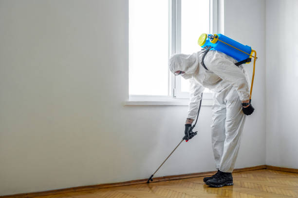Best Affordable Pest Control Services  in St Augustine South, FL