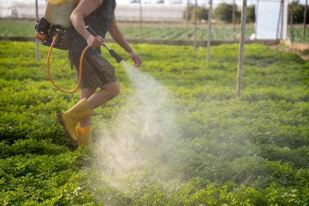 Best Pest Prevention Services  in St Augustine South, FL