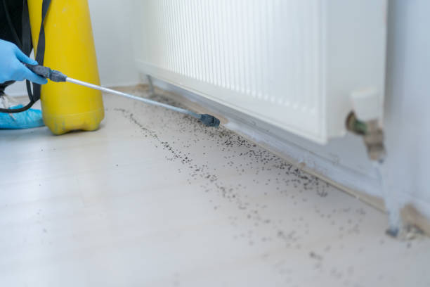  St Augustine South, FL Pest Control Pros