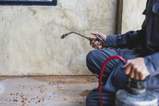 Best Best Pest Control Companies  in St Augustine South, FL